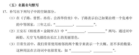 2025年高考综合改革适应性测试语文试题