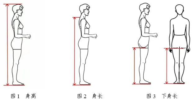 2026年浙江省普通高校招生表（导）演类服装表演方向专业统一考试报考简章