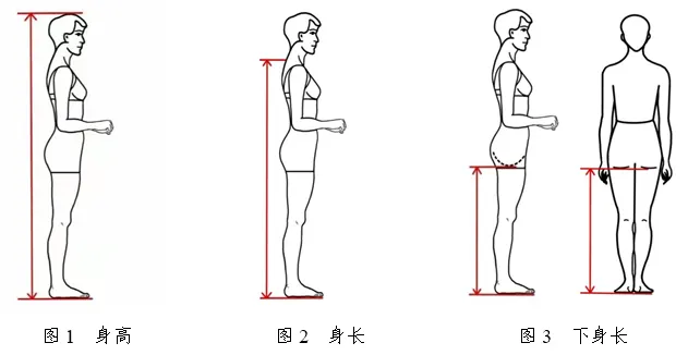 2026年天津市普通高等学校艺术类专业统一考试表(导)演类考试说明