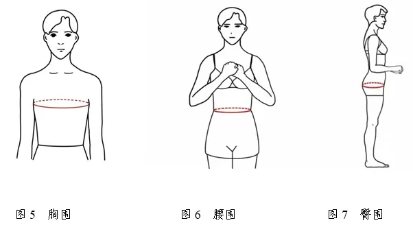 2026年天津市普通高等学校艺术类专业统一考试表(导)演类考试说明