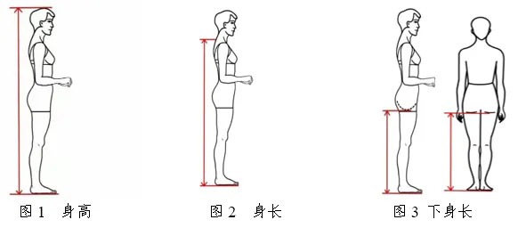 2026年青海省普通高校招生表(导)演类专业省级统考考试要求